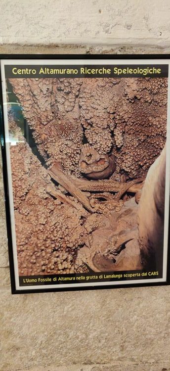 The Altamura Man